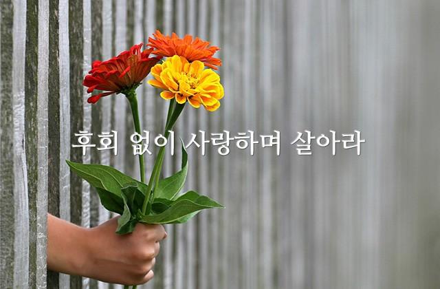 후회 없이 사랑하며 살아라