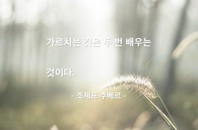 가르침, 배움 – 조제프 주베르