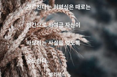 가르침 – 핼리팩스