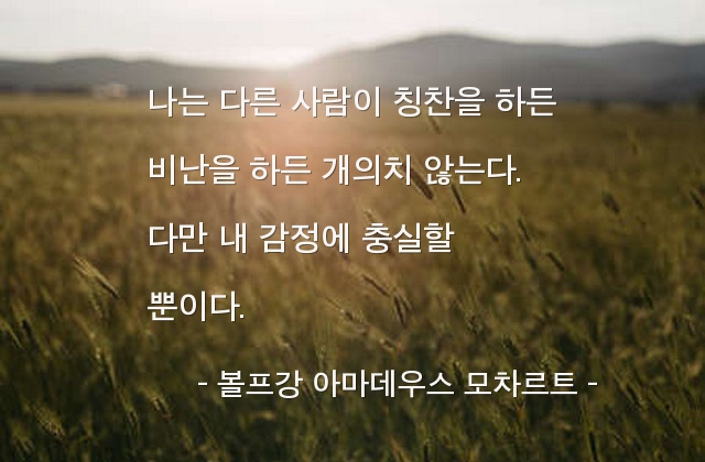 감정, 비난, 칭찬, 자기자신 – 볼프강 아마데우스 모차르트