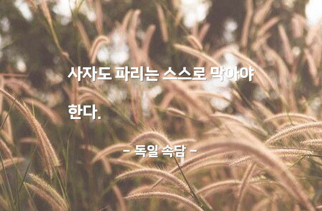 강자, 일상생활, 방어, 사자 – 독일 속담