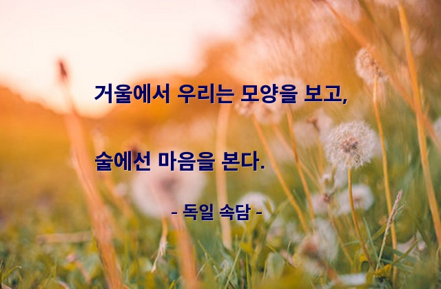 거울, 술(alcohol), 음주 – 독일 속담