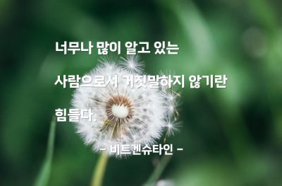 거짓말 – 비트겐슈타인