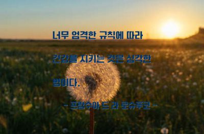 건강, 규칙 – 프랑수아 드 라 로슈푸코