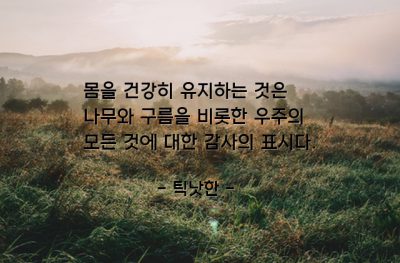 건강, 몸(body) – 틱낫한