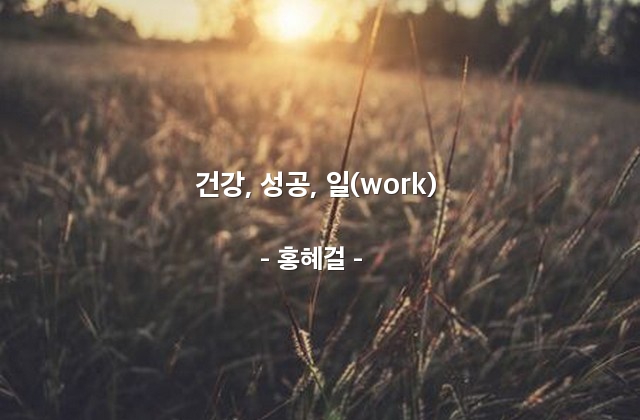 건강, 성공, 일(work) – 홍혜걸