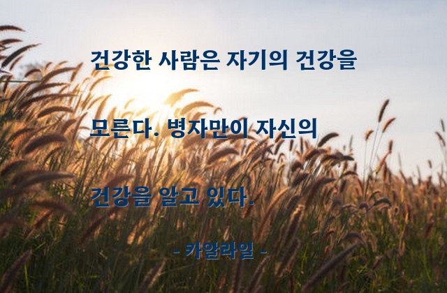 건강 – 카알라일