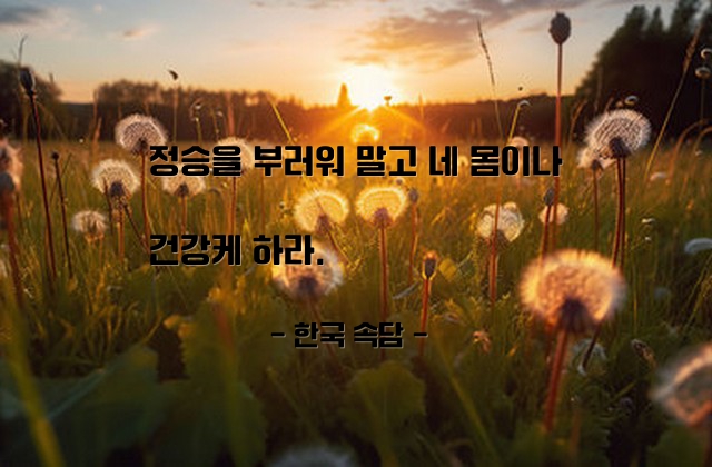 건강 – 한국 속담