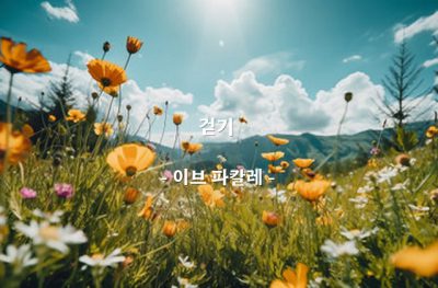 걷기 – 이브 파칼레