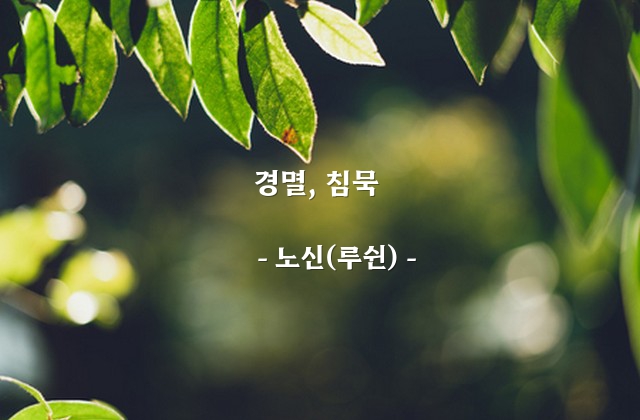 경멸, 침묵 – 노신(루쉰)