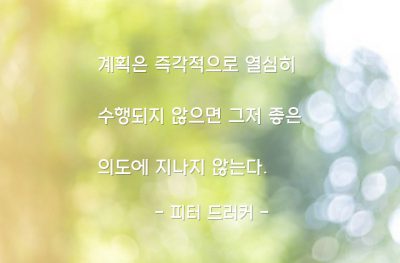 계획, 행동 – 피터 드러커