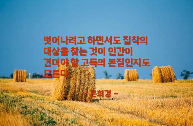 고독 – 은희경