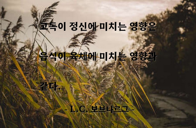 고독, 정신 – L.C. 보브나르그