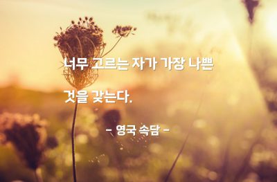 고르기, 선택, 인생살이 – 영국 속담