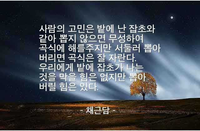 고민 – 채근담