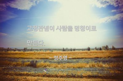 고정관념, 멍청이 – 정주영