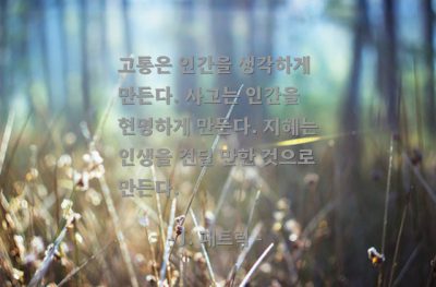 고통, 사고(thought), 지혜, 인생 – J. 패트릭