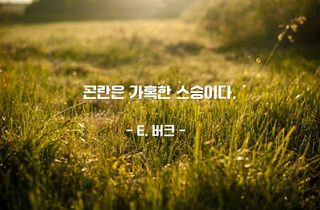 곤란 – E. 버크