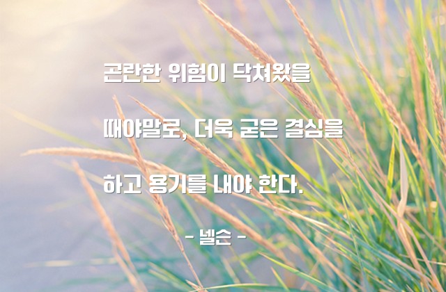 곤란, 위험 – 넬슨