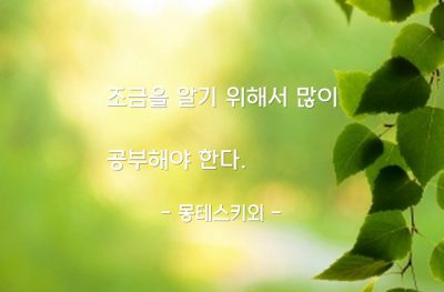 공부, 앎 – 몽테스키외