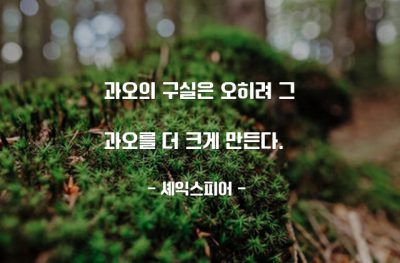 과오 – 셰익스피어