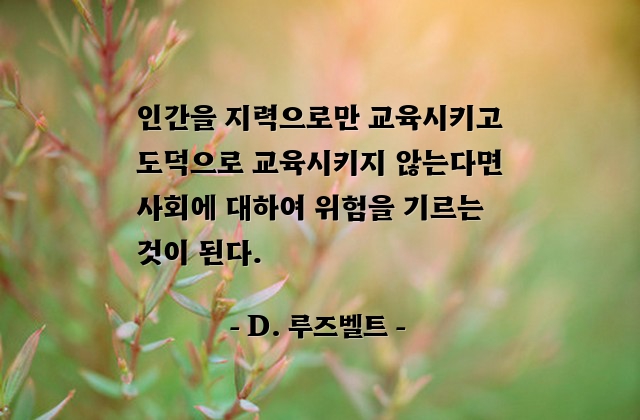 교육, 도덕, 사회 – D. 루즈벨트