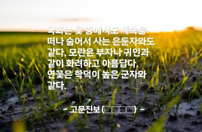 국화, 모란, 연꽃 – 고문진보(古文眞寶)