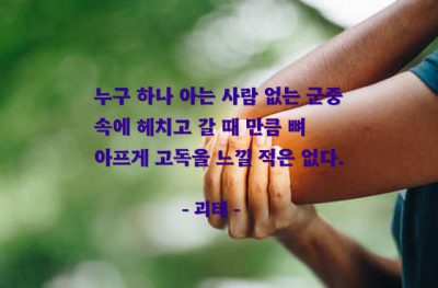 군중, 고독 – 괴테