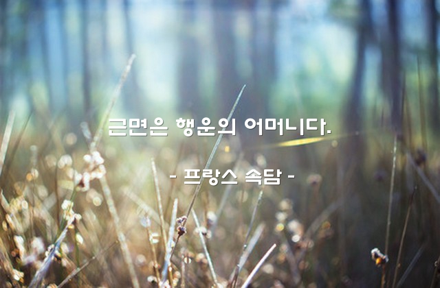 근면, 행운 – 프랑스 속담