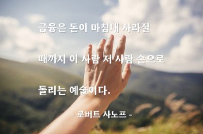 금융 – 로버트 사노프