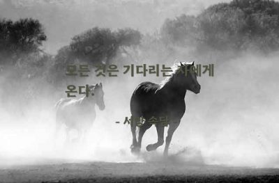 기다림, 인내 – 서양 속담