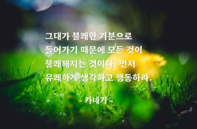 기분, 행복 – 카네기