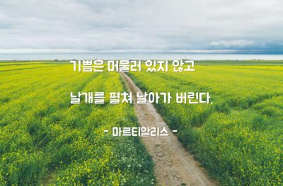 기쁨 – 마르티알리스