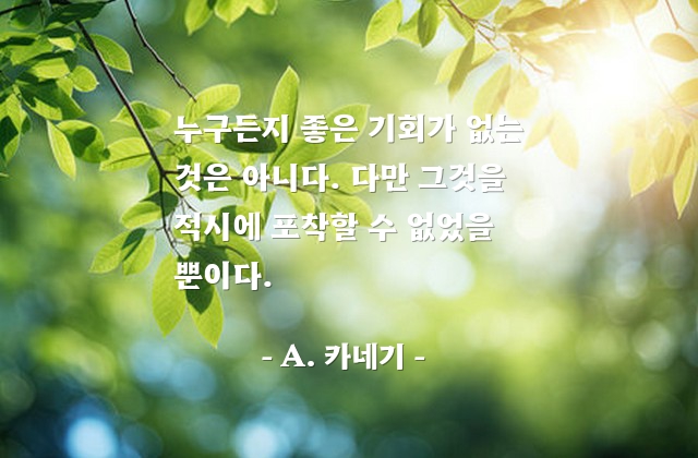 기회 – A. 카네기