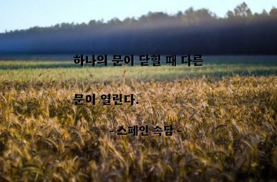 기회 – 스페인 속담