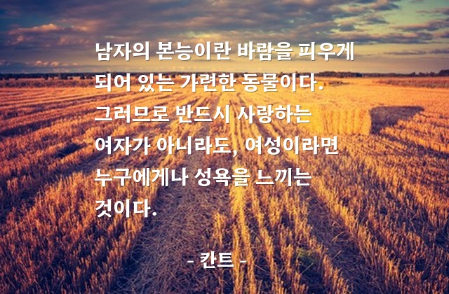 남자본능, 바람, 성욕 – 칸트