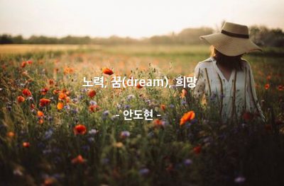 노력, 꿈(dream), 희망 – 안도현