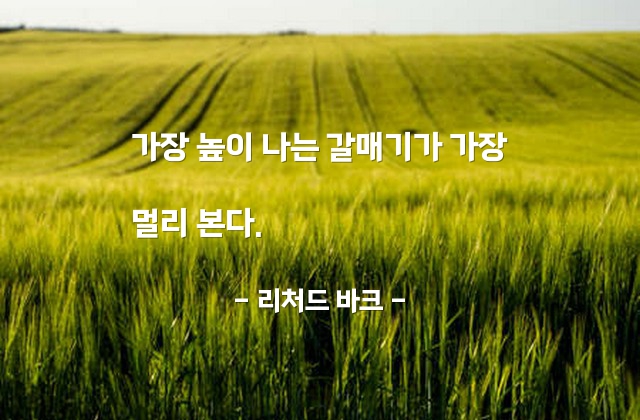 노력 – 리처드 바크