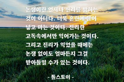 논쟁, 진리 – 톨스토이