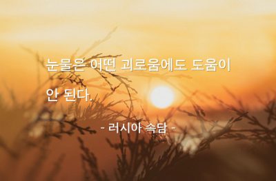 눈물, 괴로움 – 러시아 속담