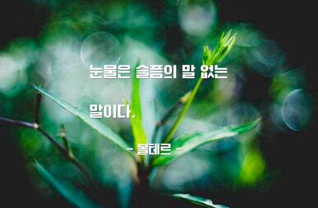 눈물, 슬픔 – 볼테르