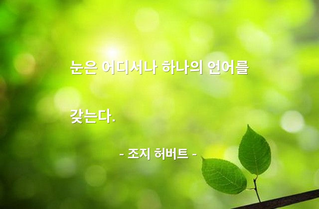 눈(eye), 언어 – 조지 허버트