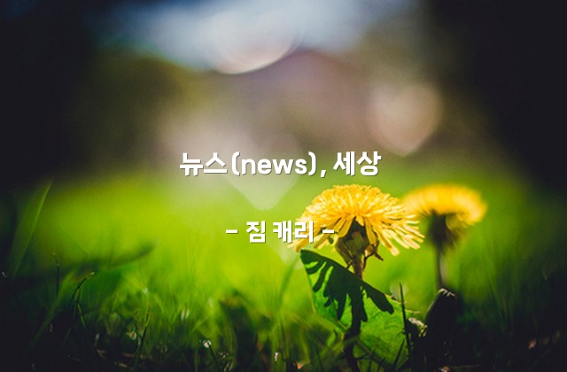 뉴스(news), 세상 – 짐 캐리