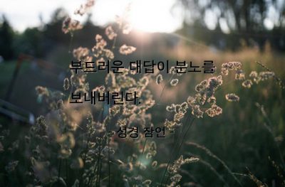 대화, 말(words), 대답, 분노 – 성경 잠언