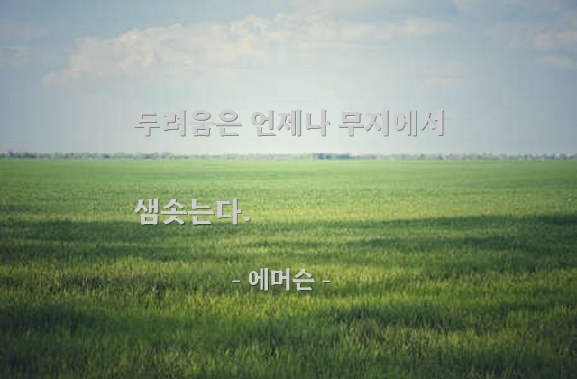 두려움, 무지 – 에머슨