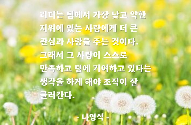 리더(leader), 조직 – 나영석