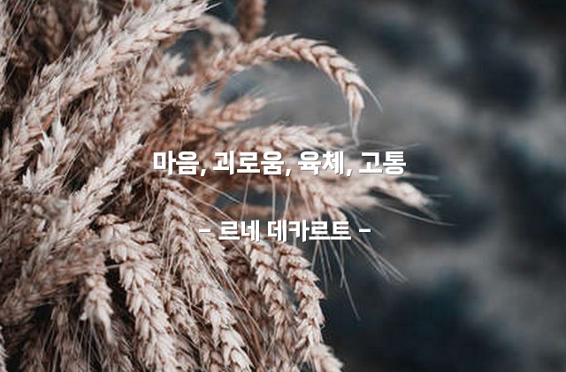 마음, 괴로움, 육체, 고통 – 르네 데카르트