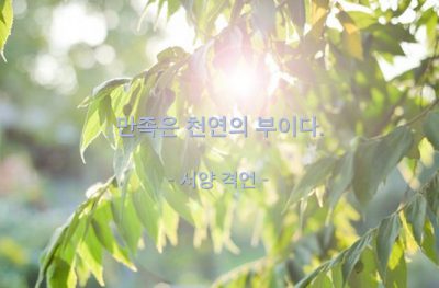 만족, 부(wealth) – 서양 격언