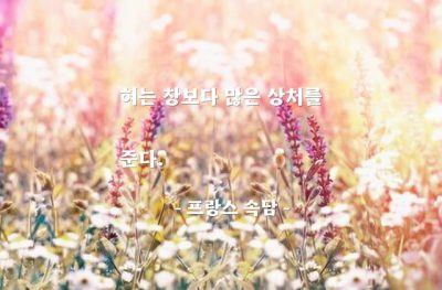 말(Words) – 프랑스 속담