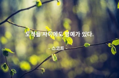 명예, 도적 – 스코트